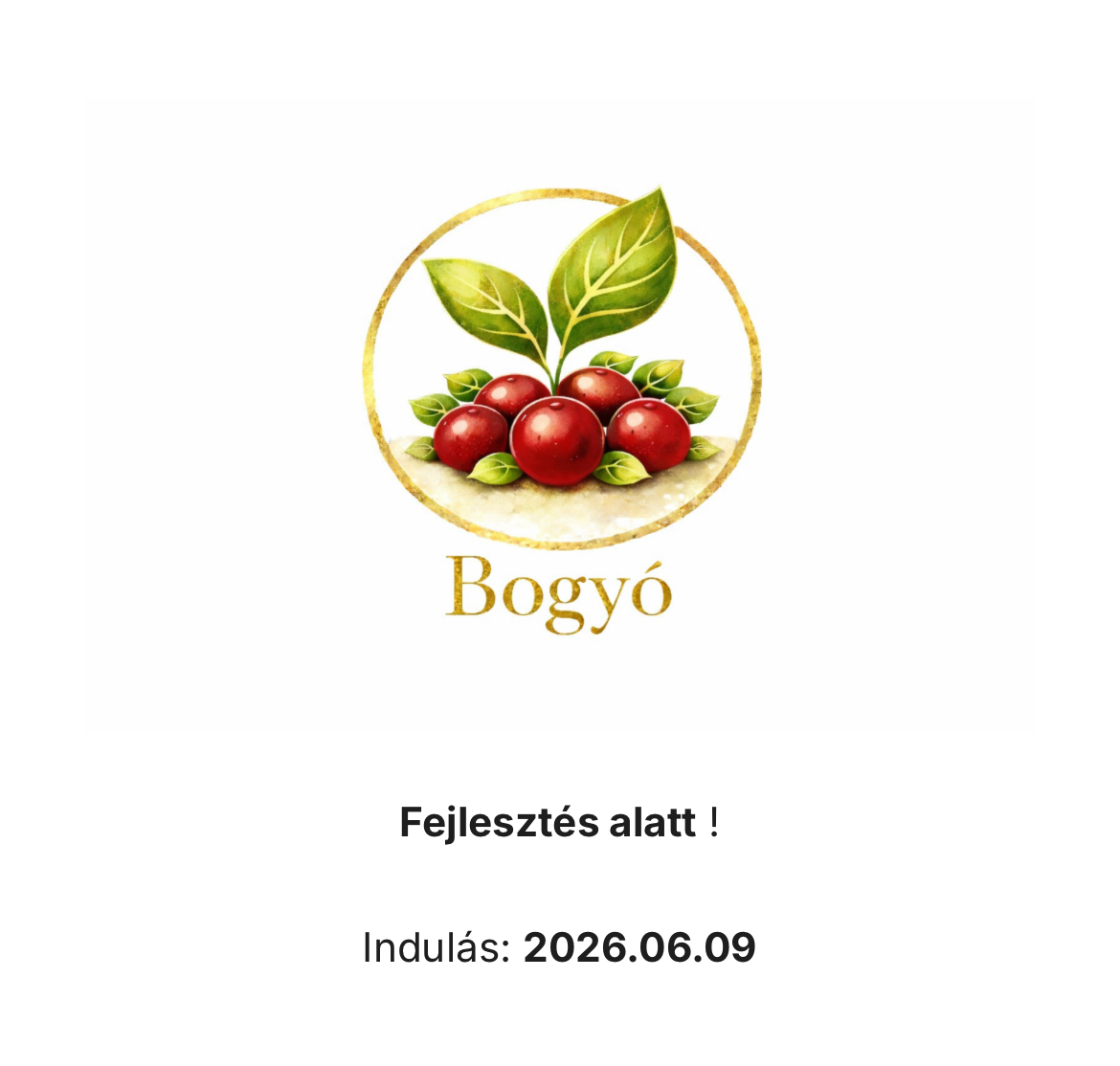 Bogyó – fejlesztés alatt